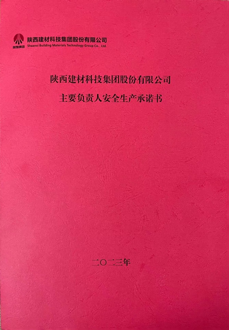 陜西建材科技集團(tuán)股份有限公司主要負(fù)責(zé)人安全生產(chǎn)承諾書2